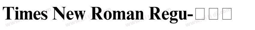 Times New Roman Regu字体转换